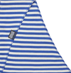 NPS Scarf Triangle