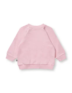 Soft Sweat Sirius