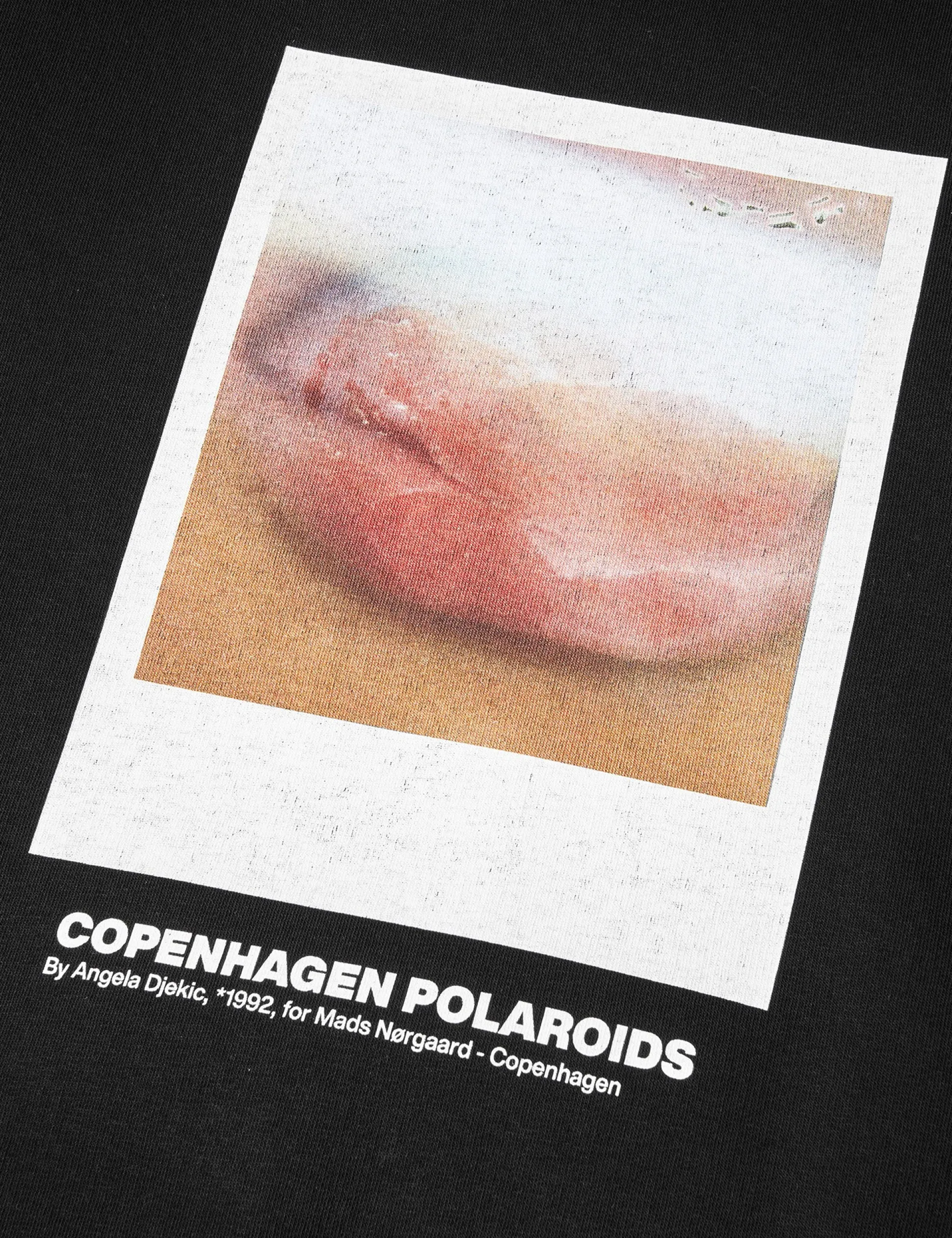 Standard Crew Poloroide Sweat