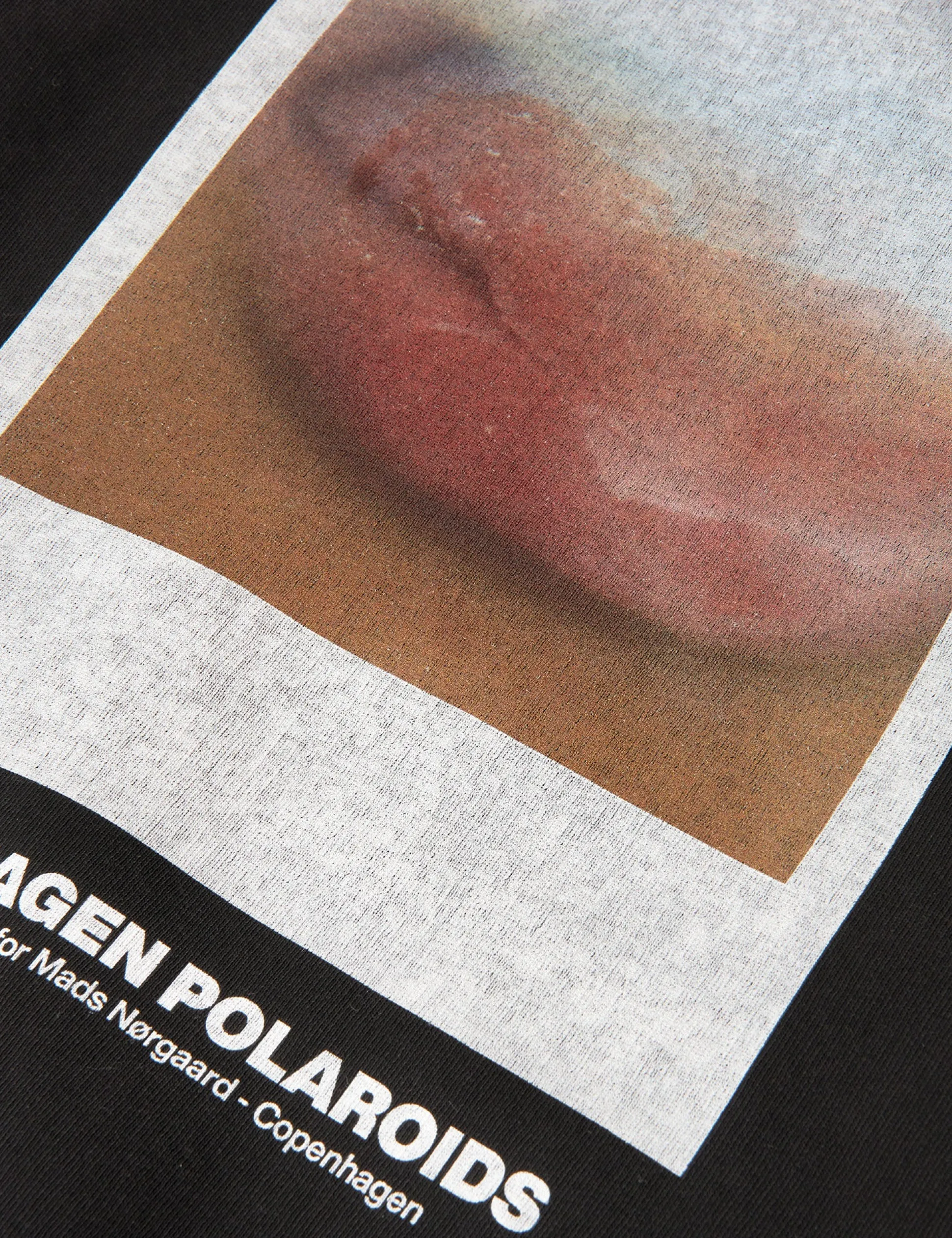 Standard Hood Polaroid Sweat